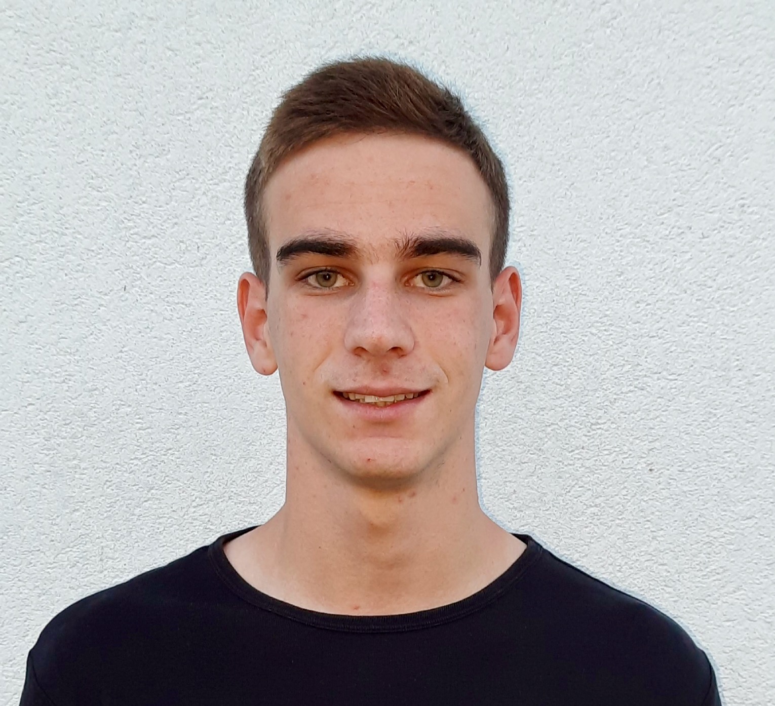 Toni Raič Rotating Archive - Croatian Scholarship Fund